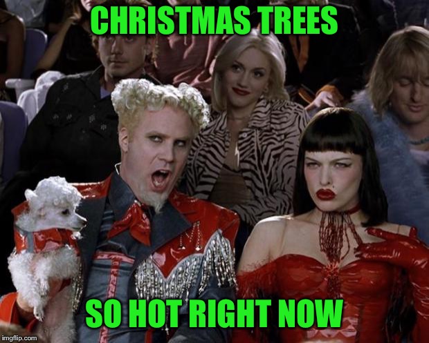 Mugatu So Hot Right Now Meme | CHRISTMAS TREES SO HOT RIGHT NOW | image tagged in memes,mugatu so hot right now | made w/ Imgflip meme maker