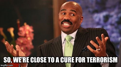 Steve Harvey Meme | SO, WE’RE CLOSE TO A CURE FOR TERRORISM | image tagged in memes,steve harvey | made w/ Imgflip meme maker