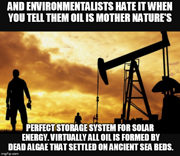 Oilfield Thanksgiving  | AND ENVIRONMENTALISTS HATE IT WHEN YOU TELL THEM OIL IS MOTHER NATURE'S; PERFECT STORAGE SYSTEM FOR SOLAR ENERGY. VIRTUALLY ALL OIL IS FORMED BY DEAD ALGAE THAT SETTLED ON ANCIENT SEA BEDS. | image tagged in oilfield thanksgiving | made w/ Imgflip meme maker