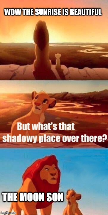 Simba Shadowy Place | WOW THE SUNRISE IS BEAUTIFUL; THE MOON SON | image tagged in memes,simba shadowy place | made w/ Imgflip meme maker