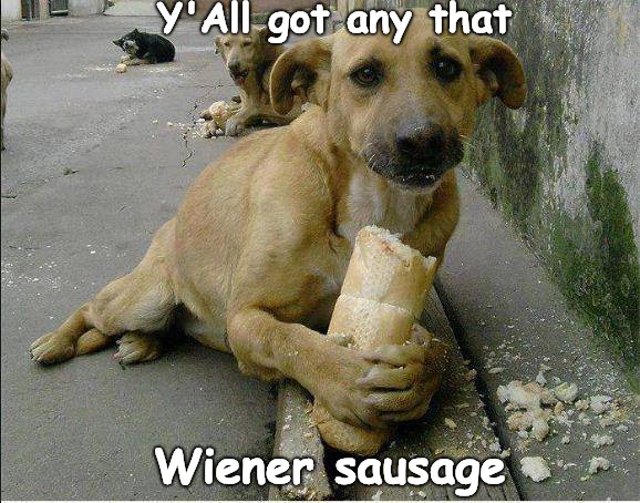 Y'All got any that Wiener sausage? | Y'All got any that Wiener sausage | made w/ Imgflip meme maker