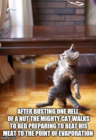 Cool Cat Stroll | AFTER BUSTING ONE HELL OF A NUT THE MIGHTY CAT WALKS TO BED PREPARING TO BEAT HIS MEAT TO THE POINT OF EVAPORATION | image tagged in memes,cool cat stroll | made w/ Imgflip meme maker