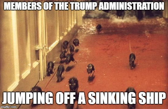MEMBERS OF THE TRUMP ADMINISTRATION; JUMPING OFF A SINKING SHIP | image tagged in donald trump,rats | made w/ Imgflip meme maker