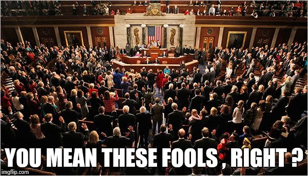 Congress | YOU MEAN THESE FOOLS , RIGHT ? | image tagged in congress | made w/ Imgflip meme maker