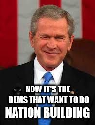 George Bush Meme | NOW IT'S THE DEMS THAT WANT TO DO NATION BUILDING | image tagged in memes,george bush | made w/ Imgflip meme maker