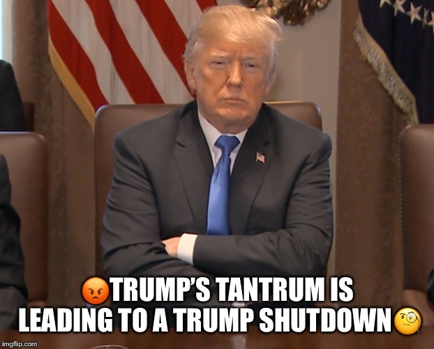 Trump’s Tantrum  | 😡TRUMP’S TANTRUM IS LEADING TO A TRUMP SHUTDOWN🧐 | image tagged in the trump tantrum,the wall,donald trump,lol | made w/ Imgflip meme maker