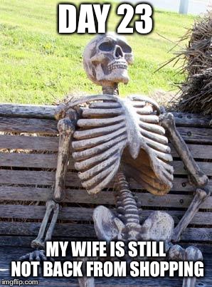 Waiting Skeleton Meme | DAY 23; MY WIFE IS STILL NOT BACK FROM SHOPPING | image tagged in memes,waiting skeleton | made w/ Imgflip meme maker