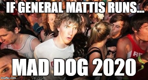 Mattis Clarity | IF GENERAL MATTIS RUNS... MAD DOG 2020 | image tagged in memes,sudden clarity clarence,mattis,mad dog mattis,mad dog 2020 | made w/ Imgflip meme maker