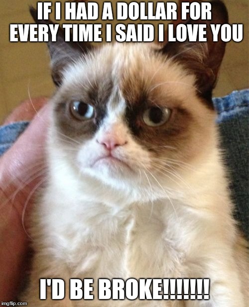 Grumpy Cat | IF I HAD A DOLLAR FOR EVERY TIME I SAID I LOVE YOU; I'D BE BROKE!!!!!!! | image tagged in memes,grumpy cat | made w/ Imgflip meme maker