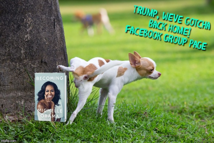 Dog Enjoys Michelle Obama Book | image tagged in peeing,trump dog,conservative meme,political meme,maga meme,becoming michelle obama meme | made w/ Imgflip meme maker