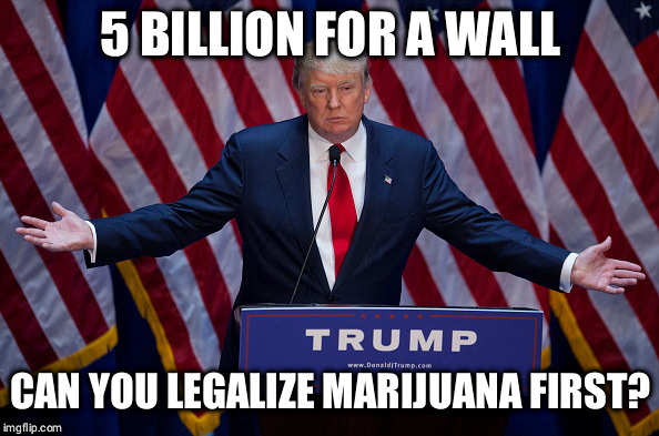 Donald Trump | 5 BILLION FOR A WALL; CAN YOU LEGALIZE MARIJUANA FIRST? | image tagged in donald trump | made w/ Imgflip meme maker