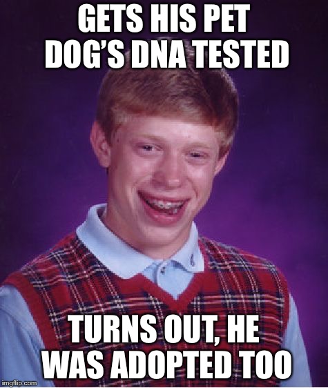 Bad Luck Brian Meme | GETS HIS PET DOG’S DNA TESTED; TURNS OUT, HE WAS ADOPTED TOO | image tagged in memes,bad luck brian | made w/ Imgflip meme maker