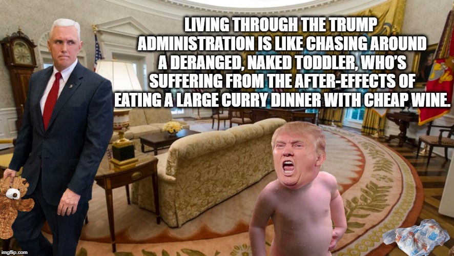 The Madness of King Donald | LIVING THROUGH THE TRUMP ADMINISTRATION IS LIKE CHASING AROUND A DERANGED, NAKED TODDLER, WHO’S SUFFERING FROM THE AFTER-EFFECTS OF EATING A LARGE CURRY DINNER WITH CHEAP WINE. | image tagged in donald trump,chaos,melting,insanity,impeach trump | made w/ Imgflip meme maker