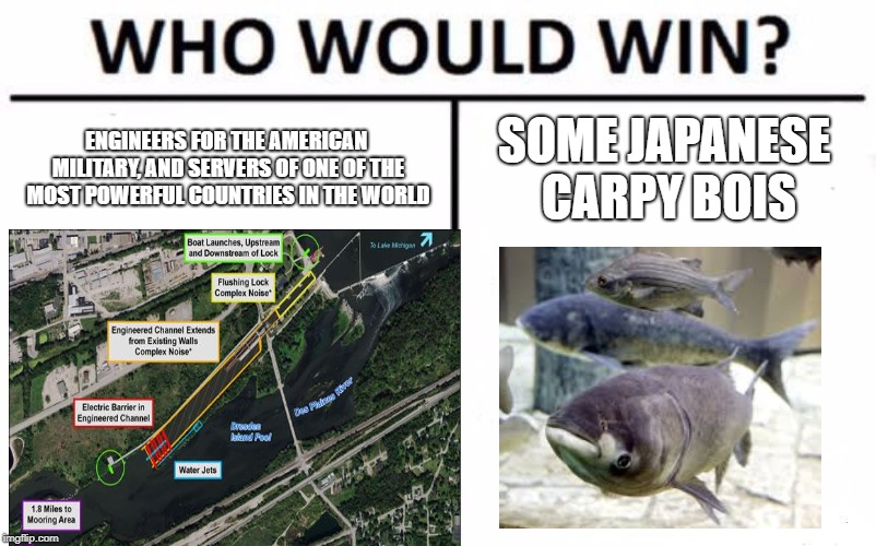 RIP Lake Michigan | ENGINEERS FOR THE AMERICAN MILITARY, AND SERVERS OF ONE OF THE MOST POWERFUL COUNTRIES IN THE WORLD; SOME JAPANESE CARPY BOIS | image tagged in fish | made w/ Imgflip meme maker