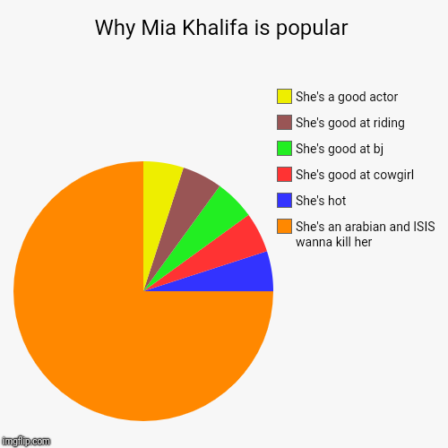 Why Mia Khalifa is popular | She's an arabian and ISIS wanna kill her, She's hot, She's good at cowgirl, She's good at bj, She's good at rid | image tagged in funny,pie charts | made w/ Imgflip chart maker