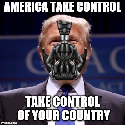Take Control | AMERICA TAKE CONTROL; TAKE CONTROL OF YOUR COUNTRY | image tagged in donald trump | made w/ Imgflip meme maker