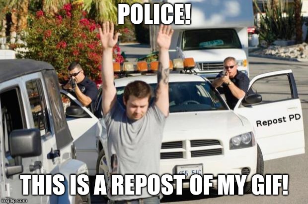 Repost Police | POLICE! THIS IS A REPOST OF MY GIF! | image tagged in repost police | made w/ Imgflip meme maker