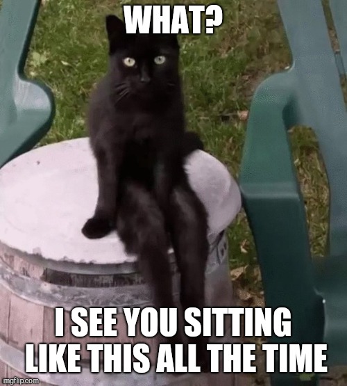 WHAT? I SEE YOU SITTING LIKE THIS ALL THE TIME | image tagged in cat,black cat | made w/ Imgflip meme maker