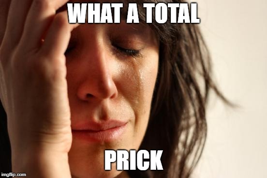 First World Problems Meme | WHAT A TOTAL PRICK | image tagged in memes,first world problems | made w/ Imgflip meme maker