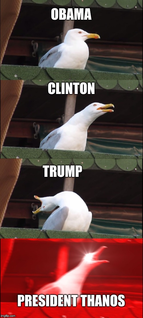 Inhaling Seagull | OBAMA; CLINTON; TRUMP; PRESIDENT THANOS | image tagged in memes,inhaling seagull | made w/ Imgflip meme maker