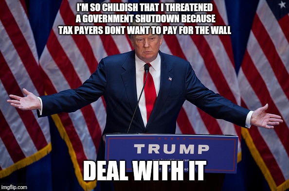 How childish can someone be? | I'M SO CHILDISH THAT I THREATENED A GOVERNMENT SHUTDOWN BECAUSE TAX PAYERS DONT WANT TO PAY FOR THE WALL; DEAL WITH IT | image tagged in donald trump,government shutdown,threat,the wall | made w/ Imgflip meme maker