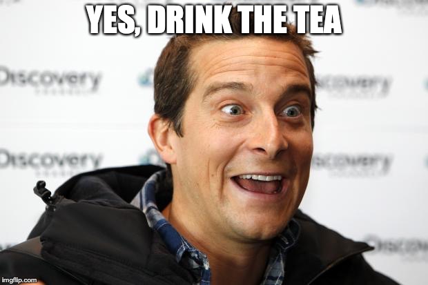 Bear Grylls Approved Food | YES, DRINK THE TEA | image tagged in bear grylls approved food | made w/ Imgflip meme maker