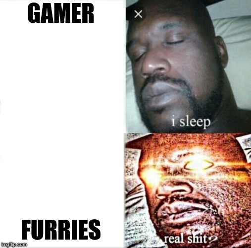 Sleeping Shaq | GAMER; FURRIES | image tagged in memes,sleeping shaq | made w/ Imgflip meme maker