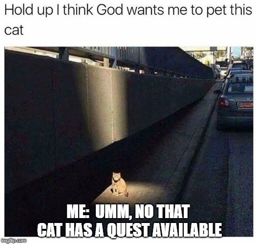 NPC cat |  ME:  UMM, NO THAT CAT HAS A QUEST AVAILABLE | image tagged in quest,wow,warcraft,cat,npc | made w/ Imgflip meme maker