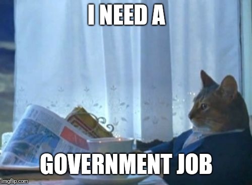 I Should Buy A Boat Cat Meme | I NEED A GOVERNMENT JOB | image tagged in memes,i should buy a boat cat | made w/ Imgflip meme maker