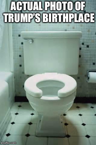 toilet | ACTUAL PHOTO OF TRUMP’S BIRTHPLACE | image tagged in toilet | made w/ Imgflip meme maker