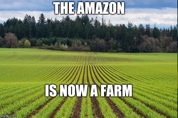 THE AMAZON; IS NOW A FARM | image tagged in memes | made w/ Imgflip meme maker