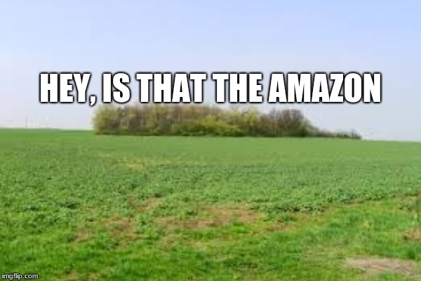 HEY, IS THAT THE AMAZON | image tagged in memes | made w/ Imgflip meme maker