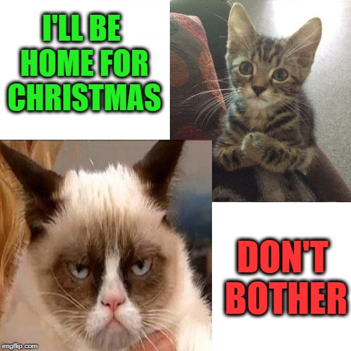 No more relatives | I'LL BE HOME FOR CHRISTMAS; DON'T BOTHER | image tagged in funny memes,cats,christmas,happy holidays,relatives,annoying | made w/ Imgflip meme maker