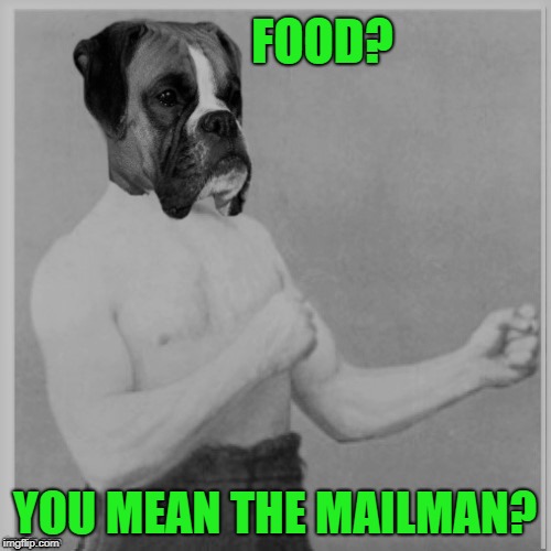 FOOD? YOU MEAN THE MAILMAN? | made w/ Imgflip meme maker