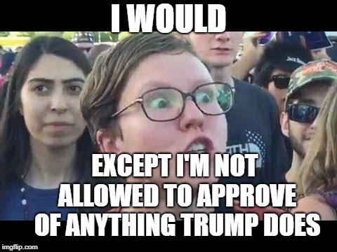Angry sjw | I WOULD EXCEPT I'M NOT ALLOWED TO APPROVE OF ANYTHING TRUMP DOES | image tagged in angry sjw | made w/ Imgflip meme maker