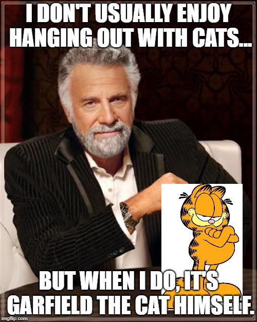 Jim Davis is a cat lover, too. | I DON'T USUALLY ENJOY HANGING OUT WITH CATS... BUT WHEN I DO, IT'S GARFIELD THE CAT HIMSELF. | image tagged in memes,the most interesting man in the world | made w/ Imgflip meme maker