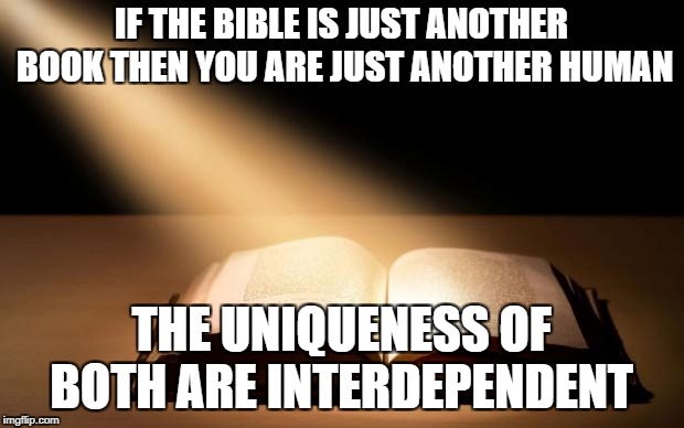 Bible | IF THE BIBLE IS JUST ANOTHER BOOK THEN YOU ARE JUST ANOTHER HUMAN; THE UNIQUENESS OF BOTH ARE INTERDEPENDENT | image tagged in bible | made w/ Imgflip meme maker