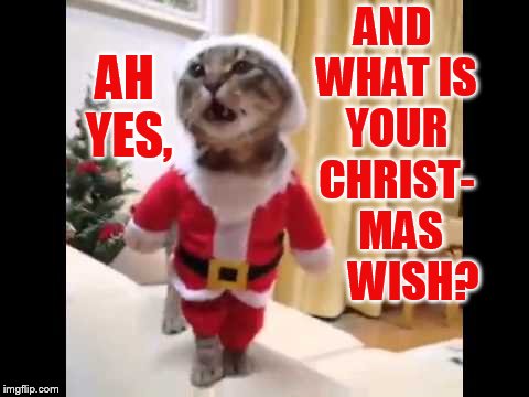 AND WHAT IS YOUR CHRIST-   MAS      WISH? AH YES, | made w/ Imgflip meme maker