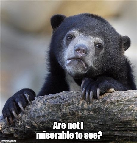 Confession Bear Meme | Are not I miserable to see? | image tagged in memes,confession bear | made w/ Imgflip meme maker
