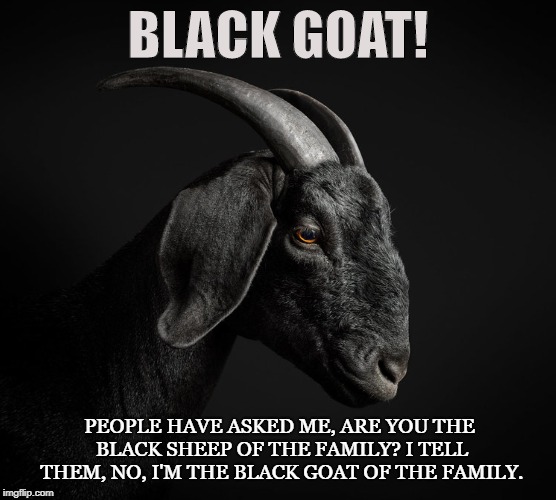 Goetia |  BLACK GOAT! PEOPLE HAVE ASKED ME, ARE YOU THE BLACK SHEEP OF THE FAMILY? I TELL THEM, NO, I'M THE BLACK GOAT OF THE FAMILY. | image tagged in goat,satanist,rebel,individualist,non-conformist,freedom | made w/ Imgflip meme maker