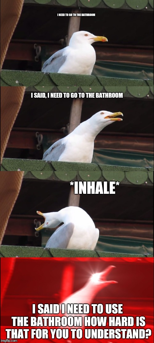 Who else has been there? | I NEED TO GO TO THE BATHROOM; I SAID, I NEED TO GO TO THE BATHROOM; *INHALE*; I SAID I NEED TO USE THE BATHROOM HOW HARD IS THAT FOR YOU TO UNDERSTAND? | image tagged in memes,inhaling seagull | made w/ Imgflip meme maker