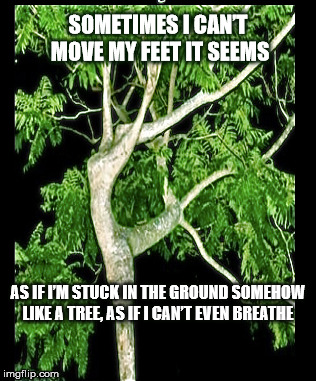 DMB If I Had It All | SOMETIMES I CAN’T MOVE MY FEET IT SEEMS; AS IF I’M STUCK IN THE GROUND SOMEHOW LIKE A TREE, AS IF I CAN’T EVEN BREATHE | image tagged in dmb,dave matthews band,firedancer,tree,stuck,breathe | made w/ Imgflip meme maker