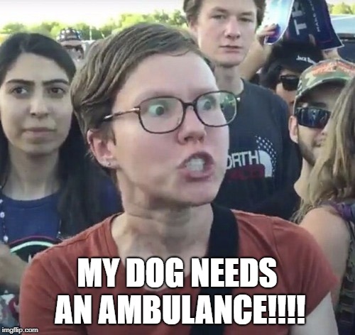 Triggered feminist | MY DOG NEEDS AN AMBULANCE!!!! | image tagged in triggered feminist | made w/ Imgflip meme maker