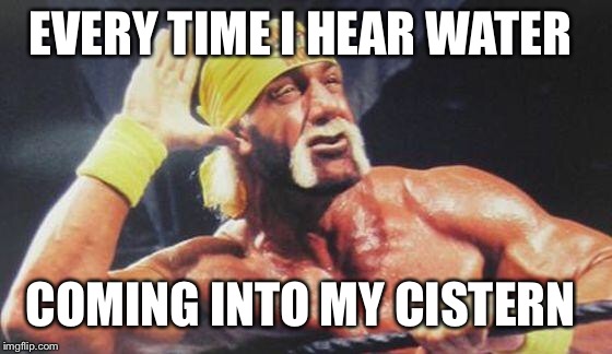 Hulk Hogan Ear | EVERY TIME I HEAR WATER; COMING INTO MY CISTERN | image tagged in hulk hogan ear | made w/ Imgflip meme maker