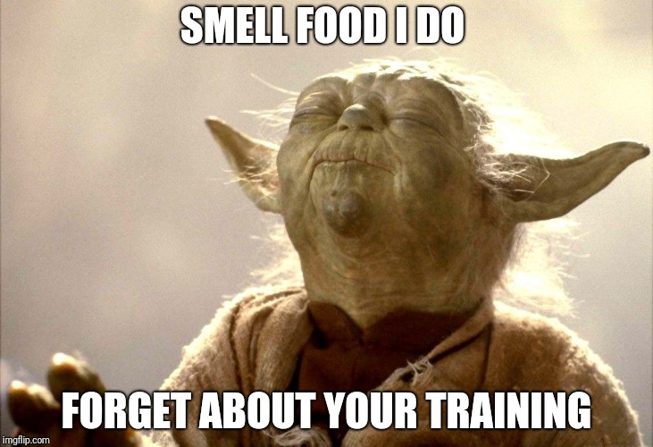 Yoda focus | SMELL FOOD I DO; FORGET ABOUT YOUR TRAINING | image tagged in yoda focus | made w/ Imgflip meme maker