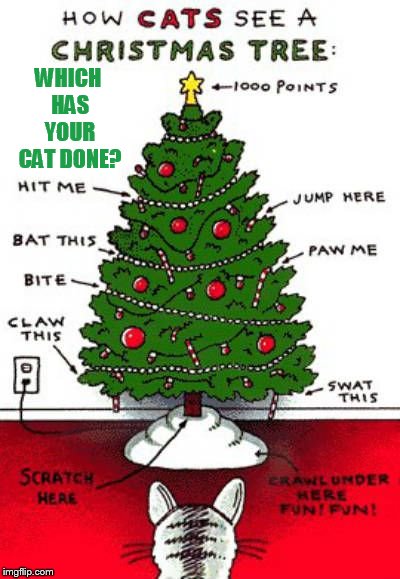 A Cat's Christmas Perspective | WHICH HAS YOUR CAT DONE? | image tagged in memes,christmas,how,cats,see,christmas tree | made w/ Imgflip meme maker