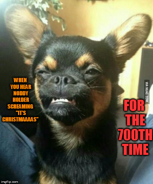 alien dog | FOR THE 700TH TIME; WHEN YOU HEAR NODDY HOLDER SCREAMING  "IT'S CHRISTMAAAAS" | image tagged in alien dog | made w/ Imgflip meme maker