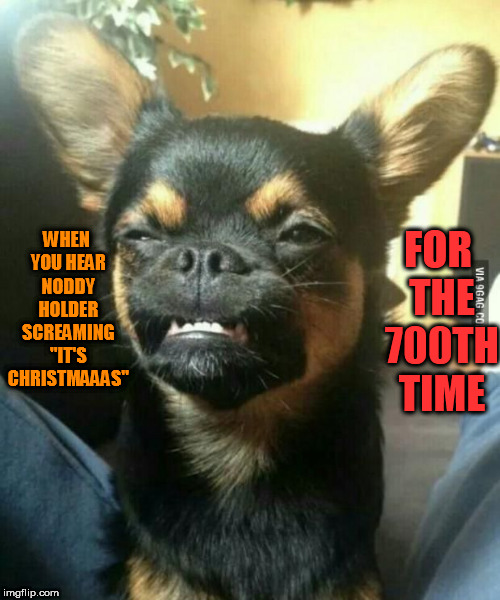 alien dog | FOR THE 700TH TIME; WHEN YOU HEAR NODDY HOLDER SCREAMING "IT'S CHRISTMAAAS" | image tagged in alien dog | made w/ Imgflip meme maker
