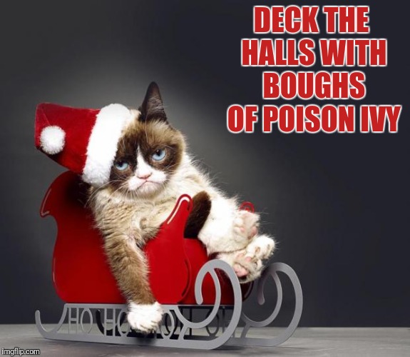 Grumpy Cat Christmas HD | DECK THE HALLS WITH BOUGHS OF POISON IVY | image tagged in grumpy cat christmas hd | made w/ Imgflip meme maker
