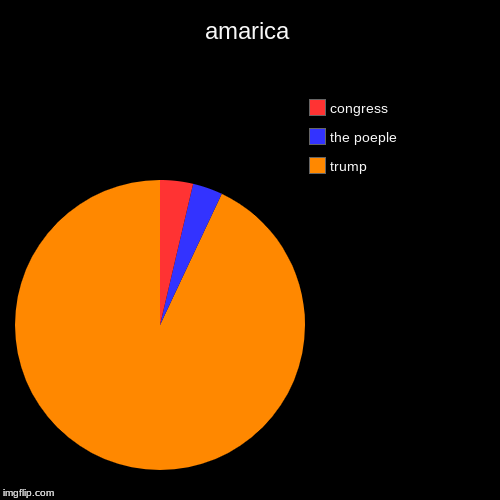 amarica | trump, the poeple, congress | image tagged in funny,pie charts | made w/ Imgflip chart maker